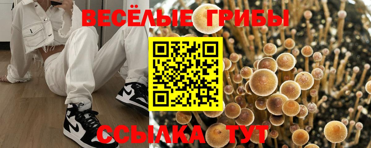 Псилоцибиновые грибы MAGIC MUSHROOMS  Вход с VPN  Сатка 